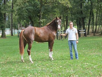 Michael Hager mit Pferd